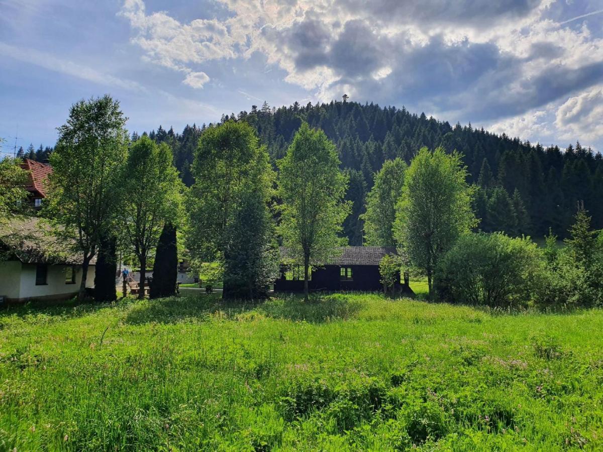 Hotel Finkenhof Schluchsee Esterno foto